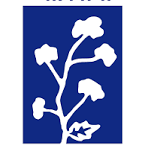 Cotton Corporation of India
